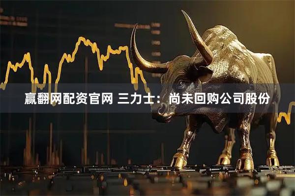 赢翻网配资官网 三力士：尚未回购公司股份